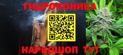 ECSTASY Пенза