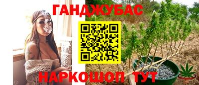 ECSTASY Пенза